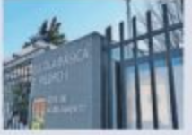 Dia do Patrono – JN 10/06/2025