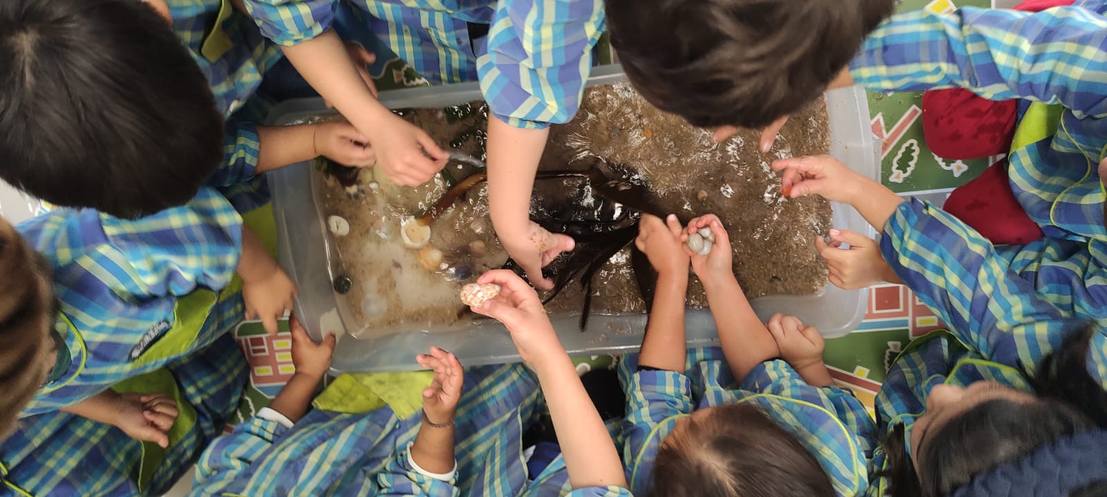 Dia Nacional do Oceano